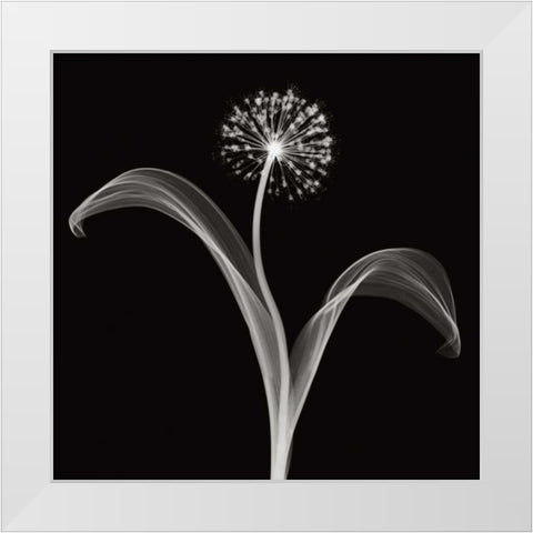 Into the Night I White Modern Wood Framed Art Print by Wehtje, Jim