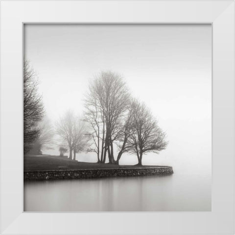 Fog and Trees at Dusk White Modern Wood Framed Art Print by LSH