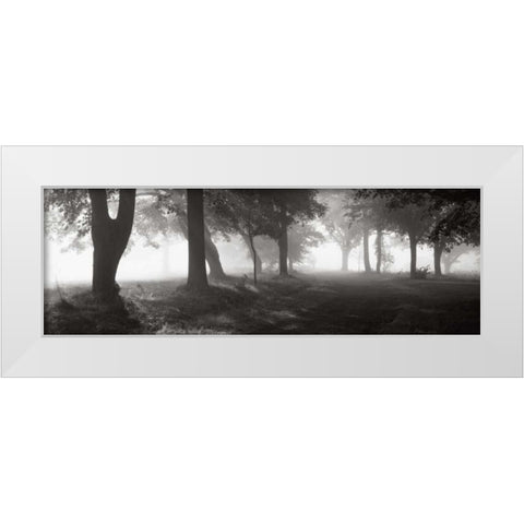 Translucence White Modern Wood Framed Art Print by Sleeper, Mike