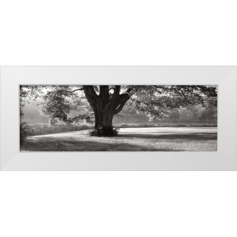 Ascendancy) White Modern Wood Framed Art Print by Sleeper, Mike