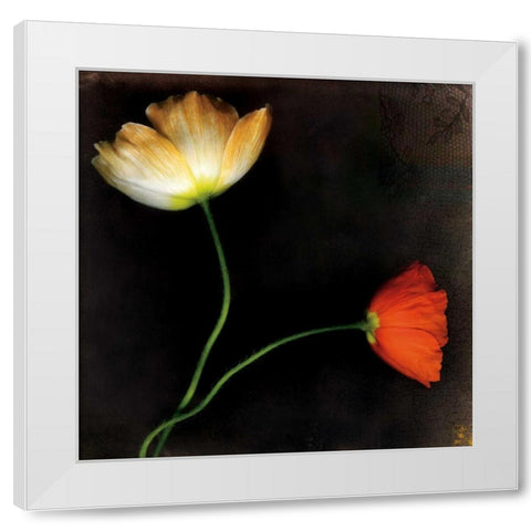 Icelantic Poppies White Modern Wood Framed Art Print by Filler, Rick