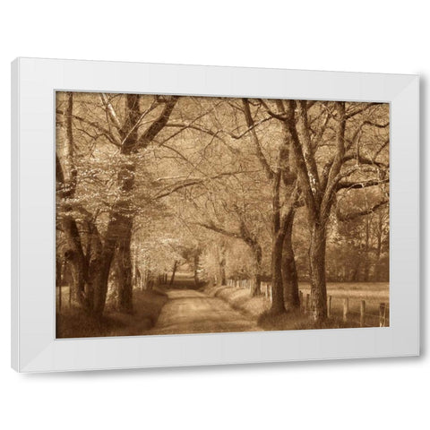 Smokies Road White Modern Wood Framed Art Print by Caro, Wendy