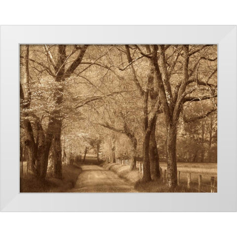 Smokies Road White Modern Wood Framed Art Print by Caro, Wendy