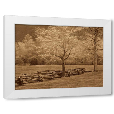 Smokies Fence White Modern Wood Framed Art Print by Caro, Wendy