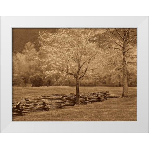 Smokies Fence White Modern Wood Framed Art Print by Caro, Wendy