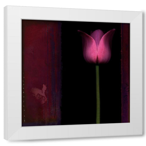 Red Tulip I White Modern Wood Framed Art Print by Filler, Rick