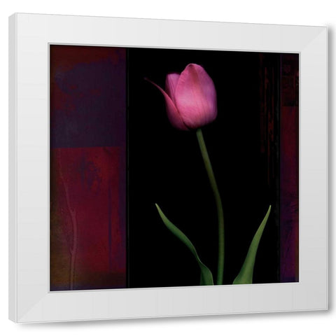 Red Tulip II White Modern Wood Framed Art Print by Filler, Rick