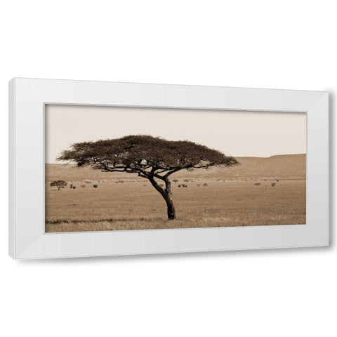 Serengeti Horizons I White Modern Wood Framed Art Print by Maihara/Watt, Jeff/Boyce