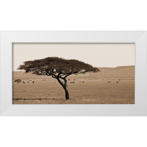 Serengeti Horizons I White Modern Wood Framed Art Print by Maihara/Watt, Jeff/Boyce