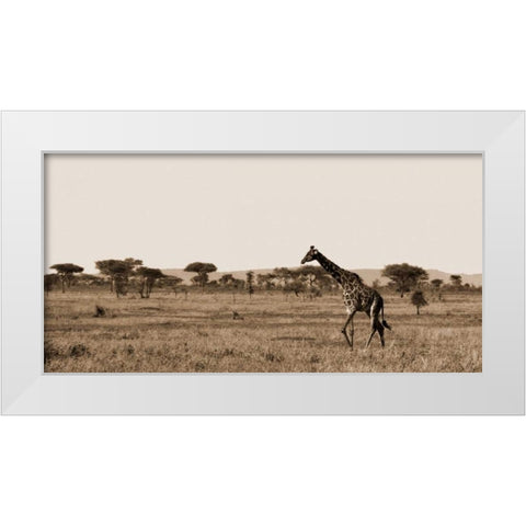 Serengeti Horizons II White Modern Wood Framed Art Print by Maihara/Watt, Jeff/Boyce