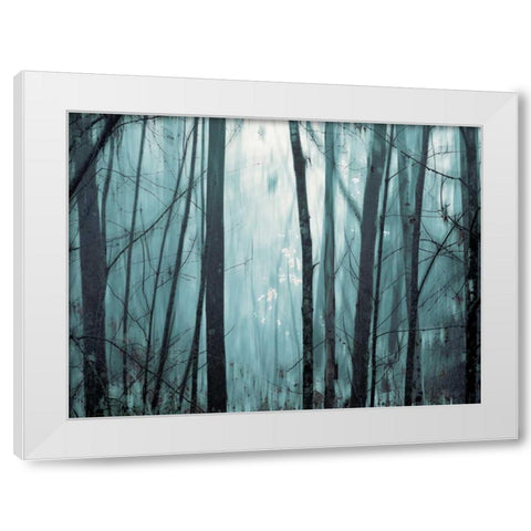 Spring Mist I White Modern Wood Framed Art Print by Pelkey, Marvin