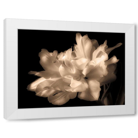 Double Dappled I White Modern Wood Framed Art Print by Britt, Charles