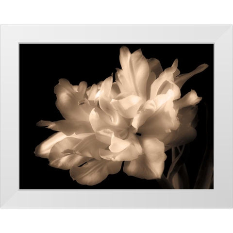 Double Dappled I White Modern Wood Framed Art Print by Britt, Charles