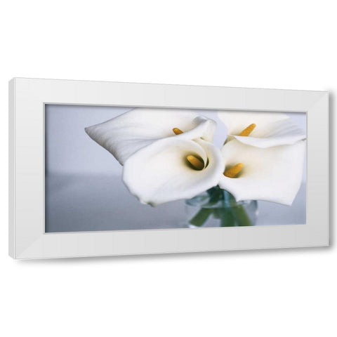 Springplicity II White Modern Wood Framed Art Print by Ryan, Cinzia