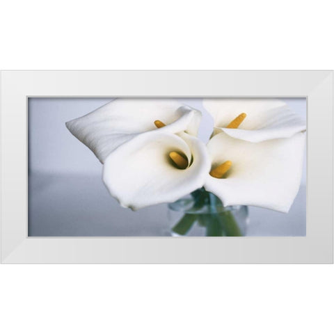 Springplicity II White Modern Wood Framed Art Print by Ryan, Cinzia