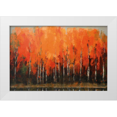 Birch Shoreline White Modern Wood Framed Art Print by Colbert , Peter