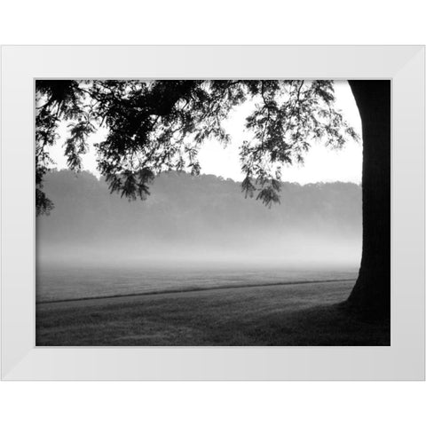 Fog in the Park I White Modern Wood Framed Art Print by Bydlo, Gary