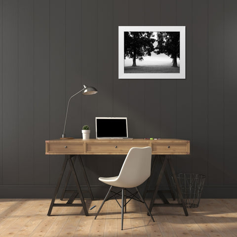Fog in the Park II White Modern Wood Framed Art Print by Bydlo, Gary