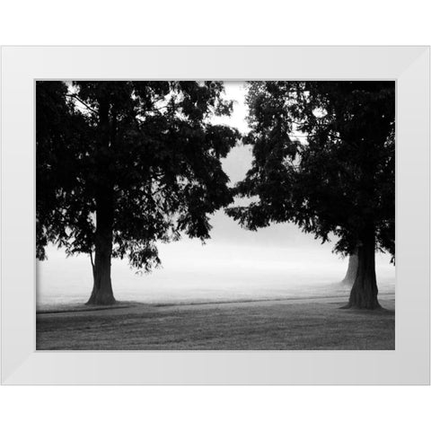 Fog in the Park II White Modern Wood Framed Art Print by Bydlo, Gary