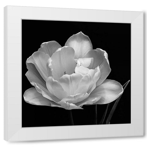 Summers Comfort White Modern Wood Framed Art Print by Britt, Charles