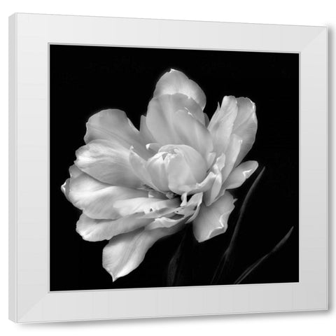 Summers Surprise White Modern Wood Framed Art Print by Britt, Charles