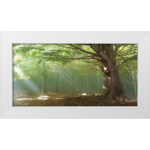 Lights White Modern Wood Framed Art Print by Vila , Toni
