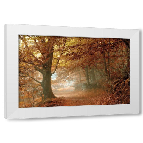 Autumn Dream White Modern Wood Framed Art Print by Vila , Toni