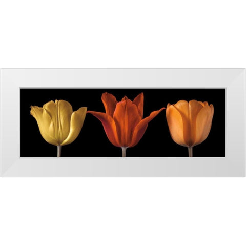 Sunshine Stance White Modern Wood Framed Art Print by Frank, Assaf