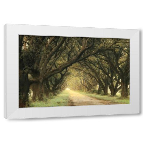 Evergreen Alley White Modern Wood Framed Art Print by Guion, William