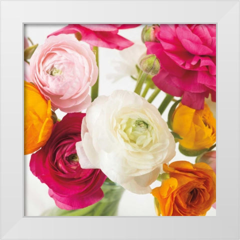 Burst of Sunshine I White Modern Wood Framed Art Print by Frank, Assaf