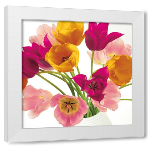 Burst of Sunshine II White Modern Wood Framed Art Print by Frank, Assaf