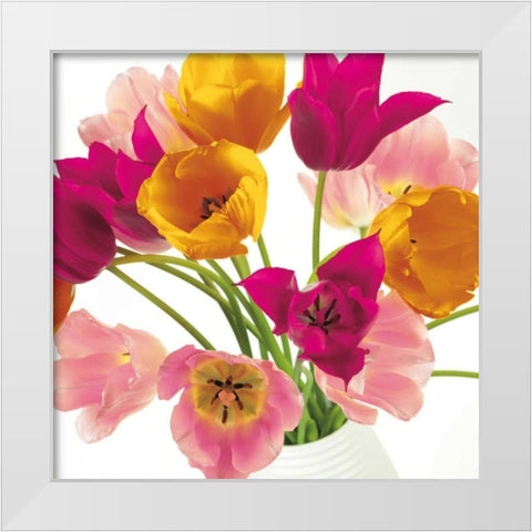 Burst of Sunshine II White Modern Wood Framed Art Print by Frank, Assaf