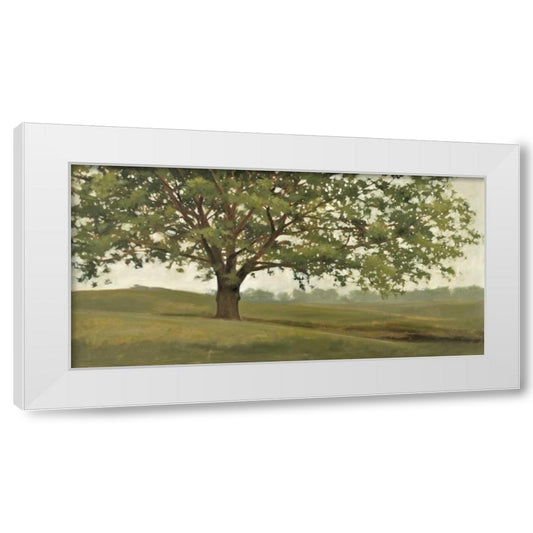 Perspective Image