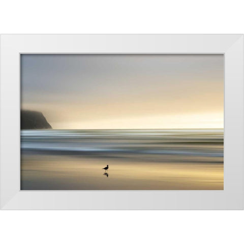 Morning Visit White Modern Wood Framed Art Print by Pelkey, Marvin