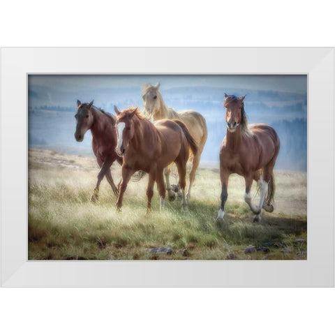 Morning Stroll White Modern Wood Framed Art Print by Caro, Wendy