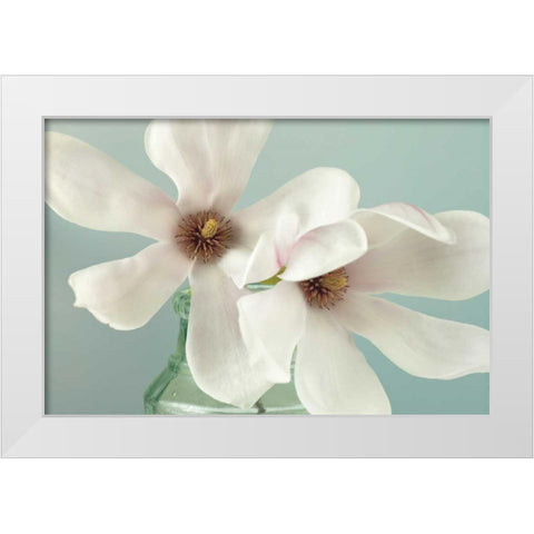 Magnolias White Modern Wood Framed Art Print by Frank, Assaf