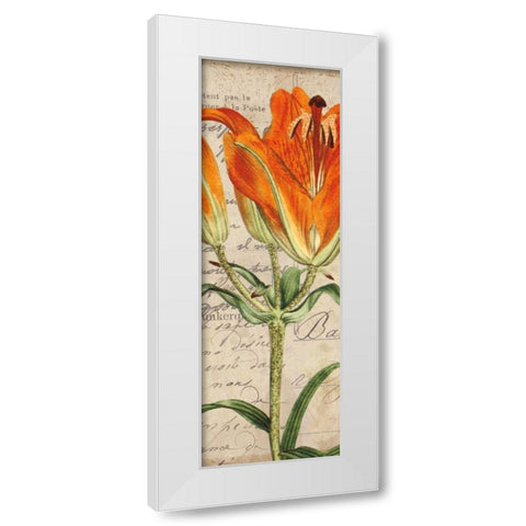 Jardin Botanique II White Modern Wood Framed Art Print by Berg, Sabine