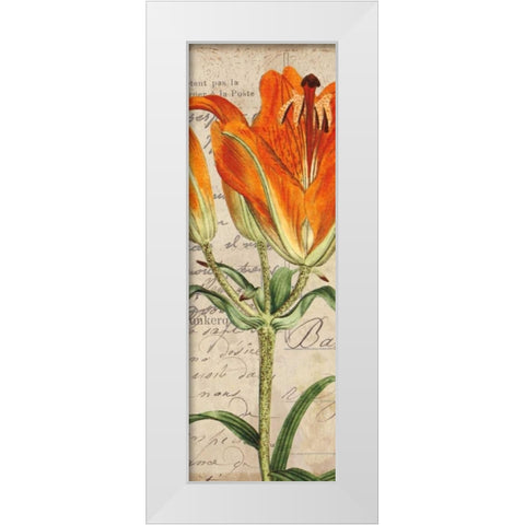 Jardin Botanique II White Modern Wood Framed Art Print by Berg, Sabine