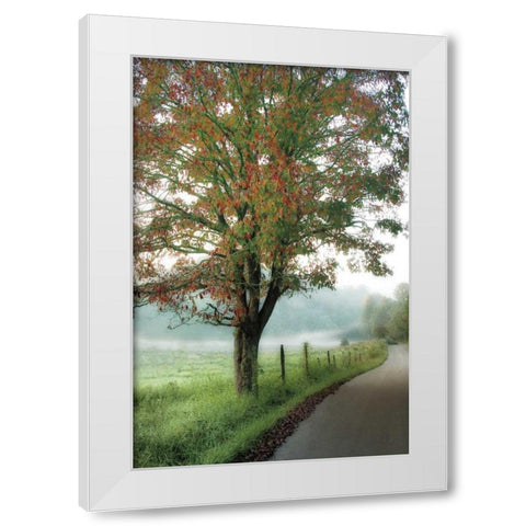 Almost Autumn White Modern Wood Framed Art Print by Burt, D.