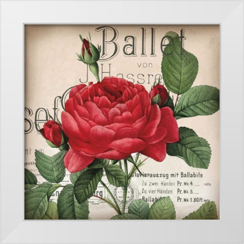 Scent of a Rose I White Modern Wood Framed Art Print by Berg, Sabine
