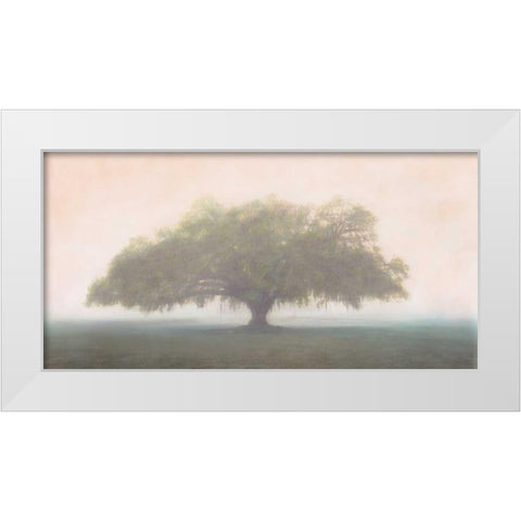 Oak in the Fog White Modern Wood Framed Art Print by Guion, William