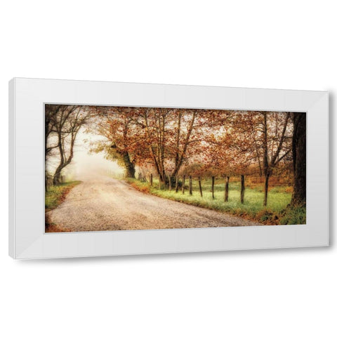 Fog Ahead White Modern Wood Framed Art Print by Burt, D.