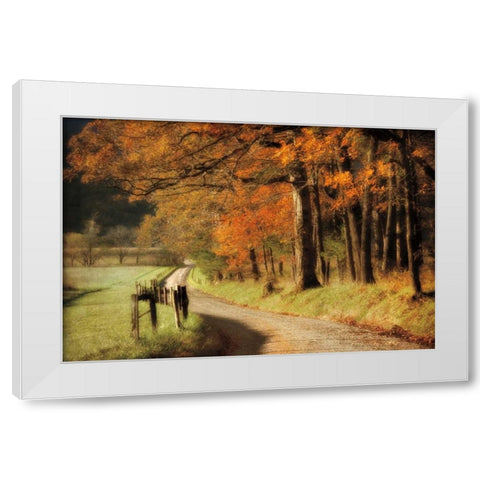 Autumns Morning Light White Modern Wood Framed Art Print by Burt, D.