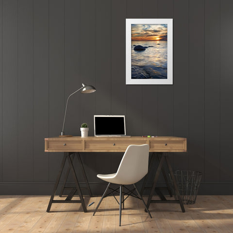 Natures Bliss White Modern Wood Framed Art Print by Bellyk, Daniel J.