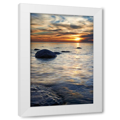Natures Bliss White Modern Wood Framed Art Print by Bellyk, Daniel J.