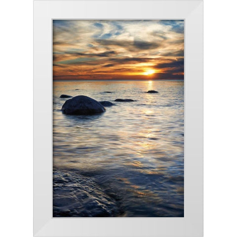 Natures Bliss White Modern Wood Framed Art Print by Bellyk, Daniel J.