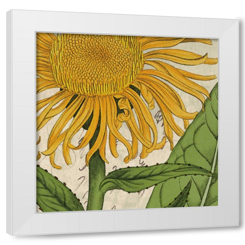 Joyful Bloom I White Modern Wood Framed Art Print by Berg, Sabine