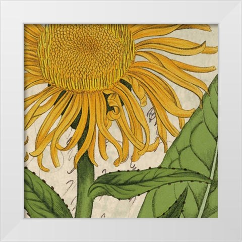 Joyful Bloom I White Modern Wood Framed Art Print by Berg, Sabine
