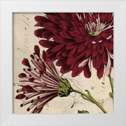 Joyful Bloom II White Modern Wood Framed Art Print by Berg, Sabine
