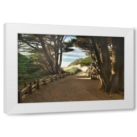 Big Sur White Modern Wood Framed Art Print by Cahill, Michael